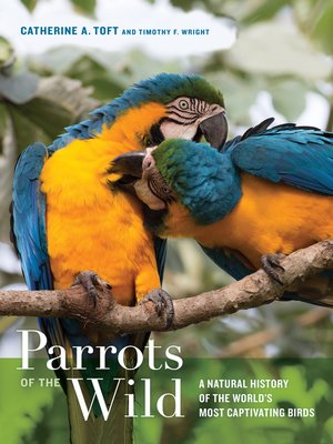cover image of Parrots of the Wild